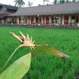 Гостевой дом Rice Padi Artha